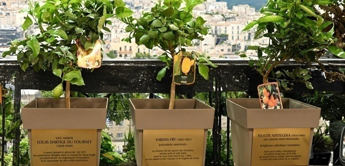 Giardino di Marsiglia