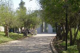 Yad Vashem, il viale dei Giusti (foto Wikicommons)