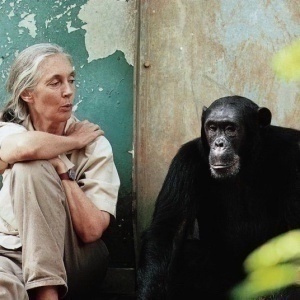 Jane Goodall