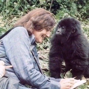 Dian Fossey