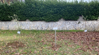 Inaugurazione Giardino dei Giusti IC Nelson Mandela di Verano Brianza