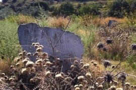 Anche a Catania il Giardino dei Giusti