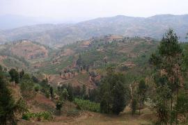 Le mille colline del Ruanda (foto di Jonathan Serex)