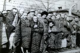 Prigionieri ad Auschwitz