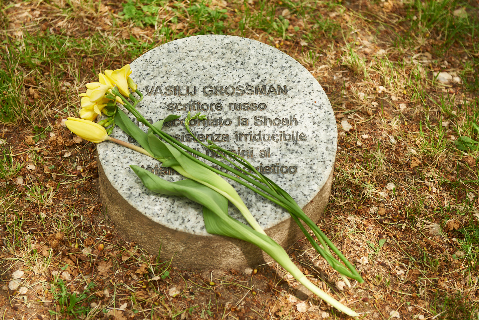  Il fiore giallo riposto presso il cippo dedicato a Vasilij Grossman
