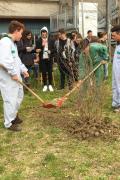 Gli studenti dell'ITS "I.Calvi" durante la piantumazione dell'albero in onore di Don Benedetto Richeldi