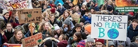 Abbraccia gli alberi!